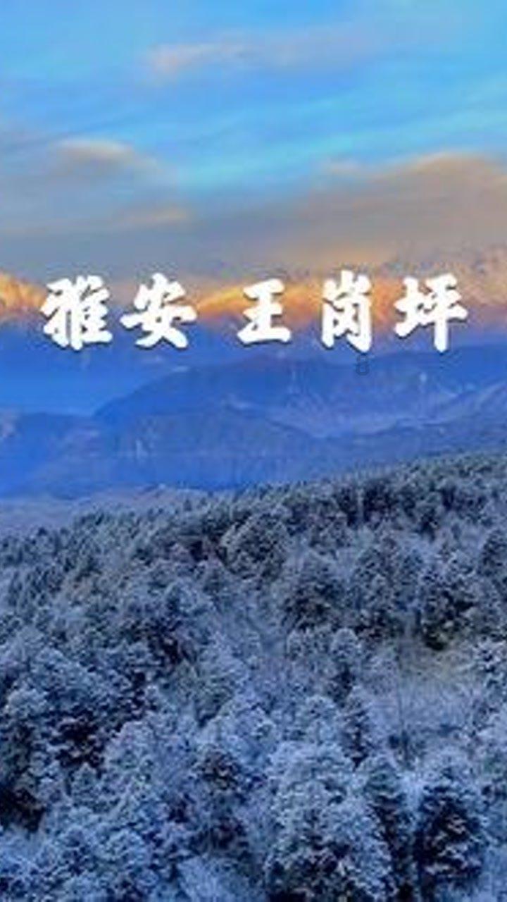 如果给你重新选择的机会你会选择什么样的专业？游戏画面